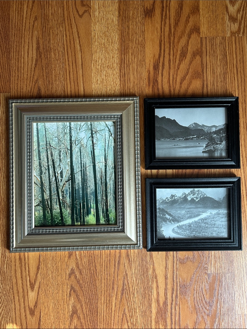Lot of 3 Landscape Outdoor Framed Prints Woodland Water Snow Cap Mountains - Picture 1 of 12